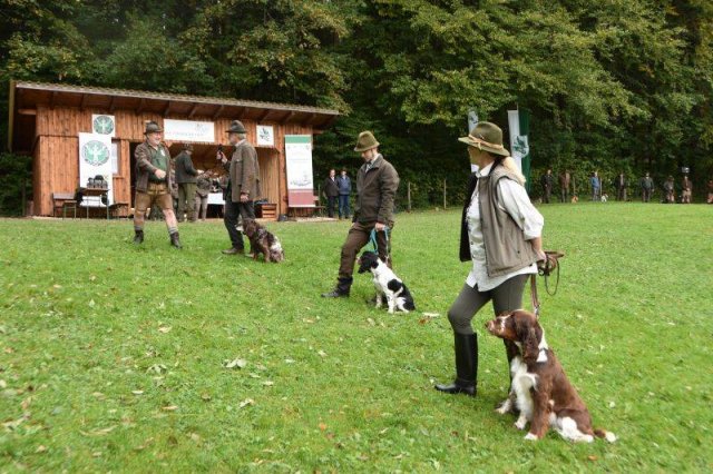 Hundepräsentation 2020